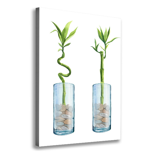 Foto leinwand vertikales Bambus im Topf