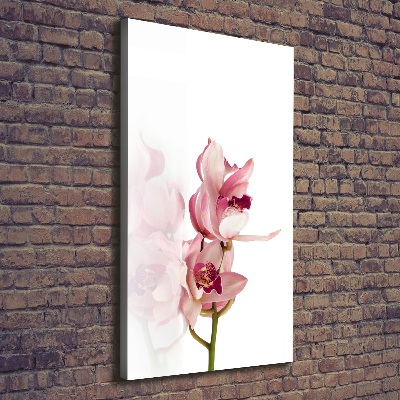 Foto leinwand vertikales Rosa Orchidee