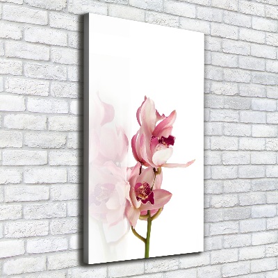 Foto leinwand vertikales Rosa Orchidee