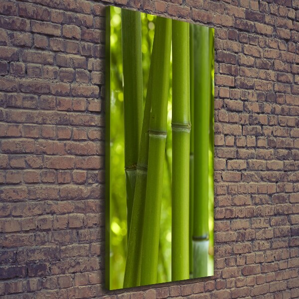 Foto leinwand vertikales Bambuswald