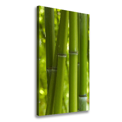 Foto leinwand vertikales Bambuswald