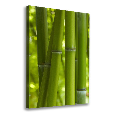 Foto leinwand vertikales Bambuswald