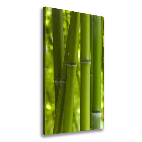 Foto leinwand vertikales Bambuswald