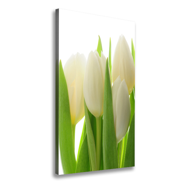 Wandbild vertikales Weiße Tulpen