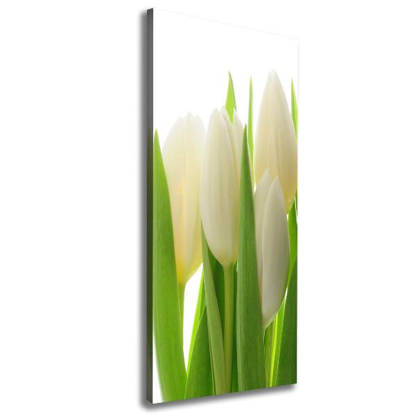 Wandbild vertikales Weiße Tulpen