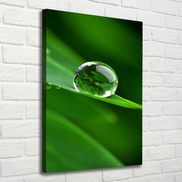 Wandbild vertikales Ein Grashalm