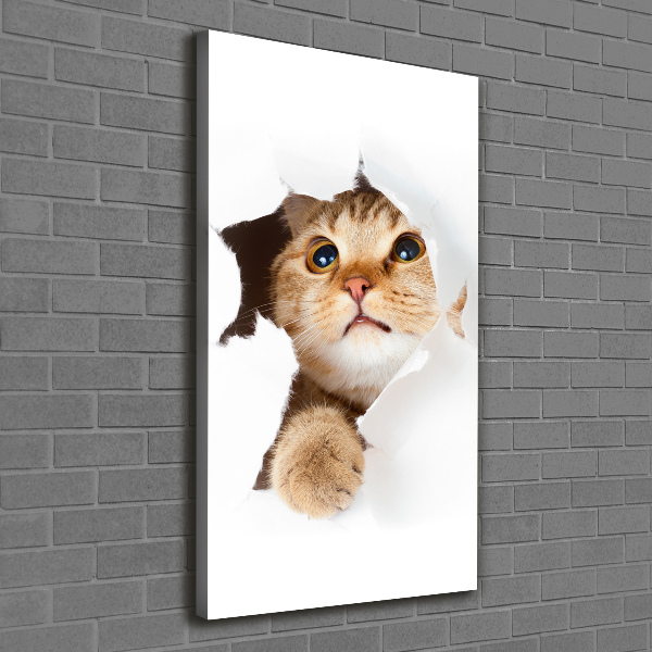 Wandbild vertikales Katze