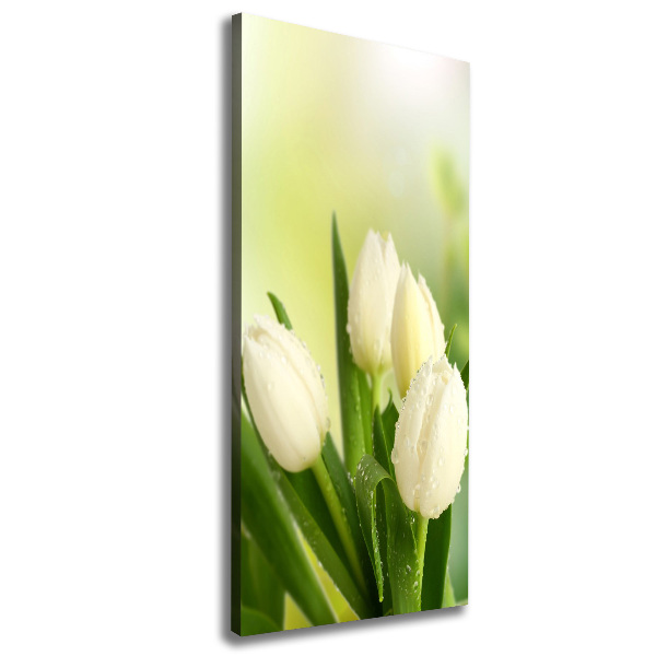 Foto auf leinwand vertikales Weiße Tulpen