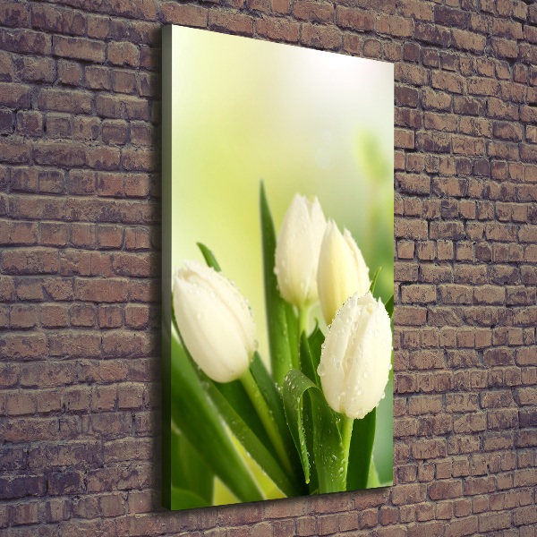 Foto auf leinwand vertikales Weiße Tulpen
