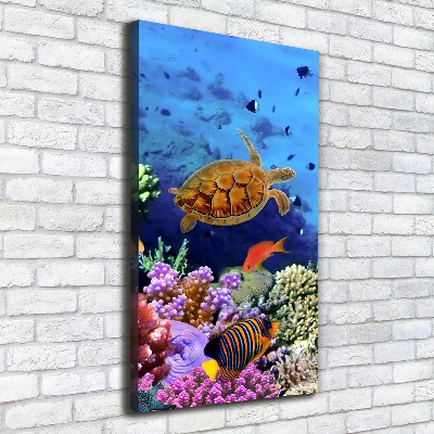 Foto auf leinwand vertikales Korallenriff