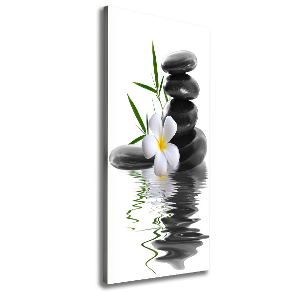 Wandbild vertikales Orchidee und Steine