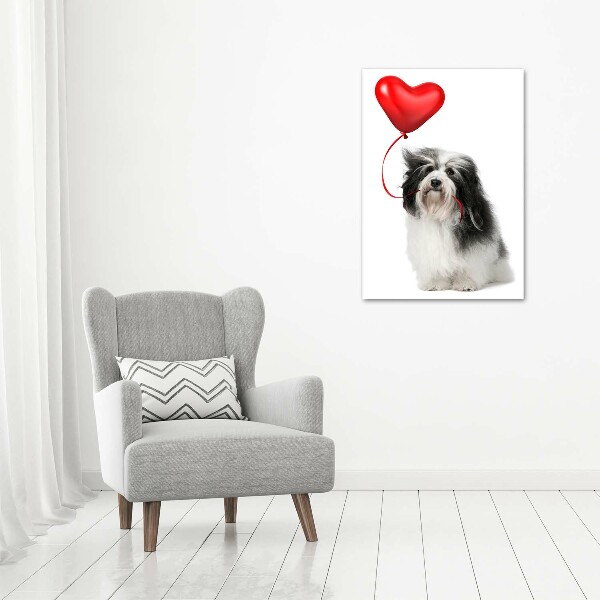 Wandbild vertikales Havaneser mit einem Ballon