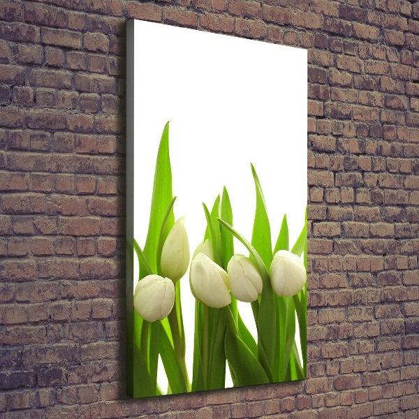 Foto leinwand vertikales Weiße Tulpen