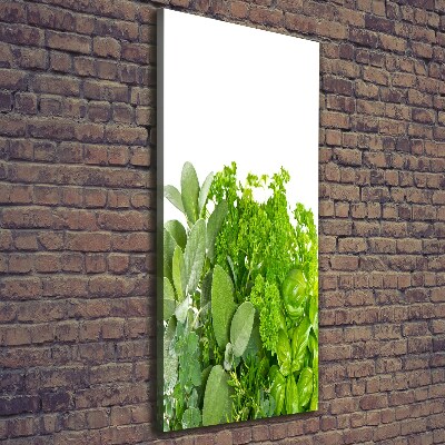 Foto leinwand vertikales Kräuter