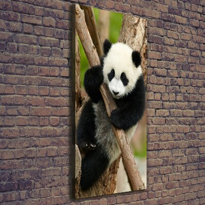 Wandbild vertikales Panda auf einem Baum
