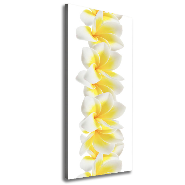 Foto leinwand vertikales Plumeria
