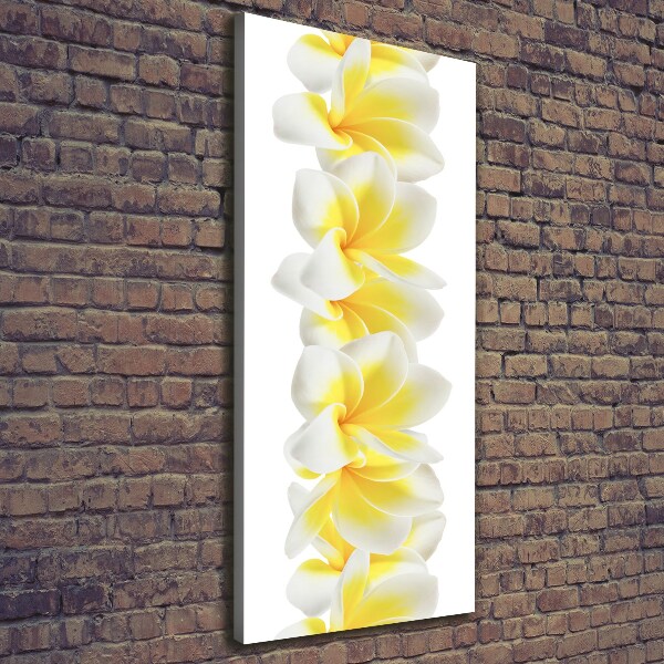 Foto leinwand vertikales Plumeria