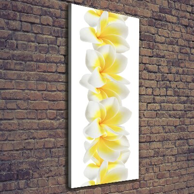 Foto leinwand vertikales Plumeria