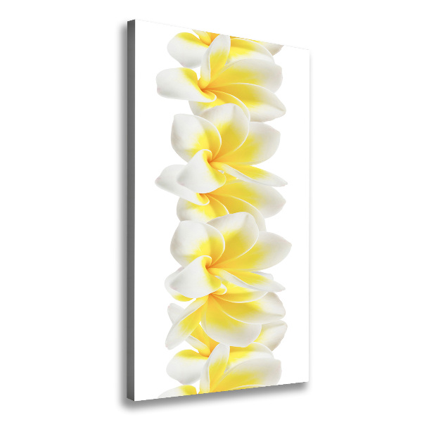 Foto leinwand vertikales Plumeria