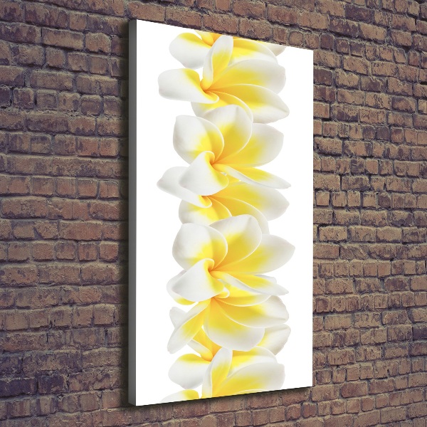 Foto leinwand vertikales Plumeria