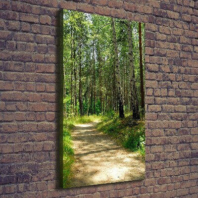 Foto leinwand vertikales Birkenwald