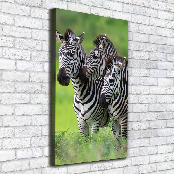 Foto leinwand vertikales Drei Zebras
