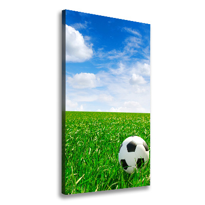 Foto leinwand vertikales Fußball auf der Wiese