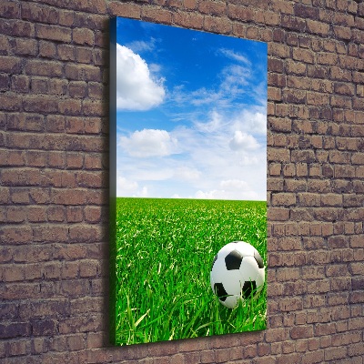 Foto leinwand vertikales Fußball auf der Wiese