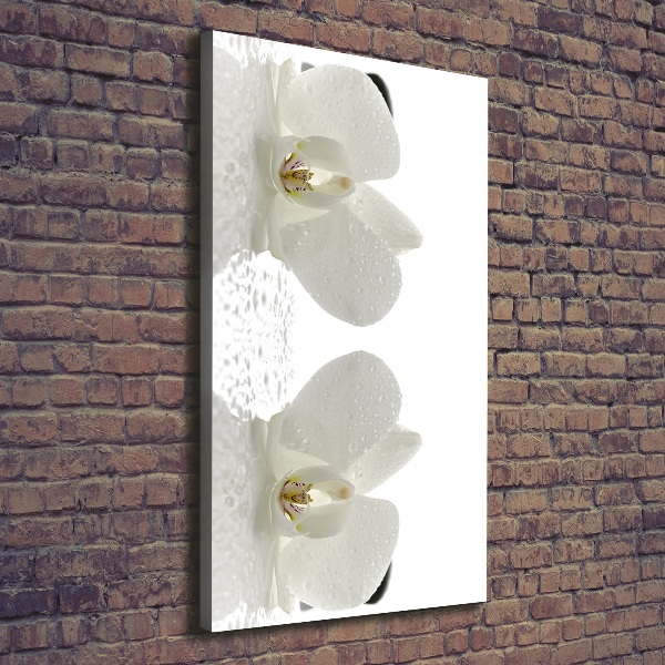 Wandbild vertikales Orchidee und Steine