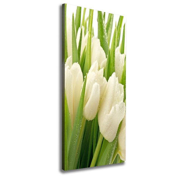 Foto leinwand vertikales Weiße Tulpen