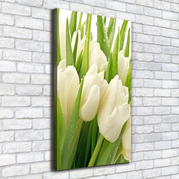 Foto leinwand vertikales Weiße Tulpen