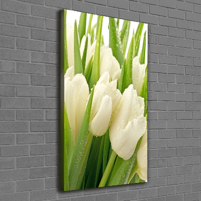 Foto leinwand vertikales Weiße Tulpen