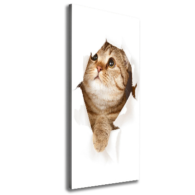 Wandbild vertikales Katze