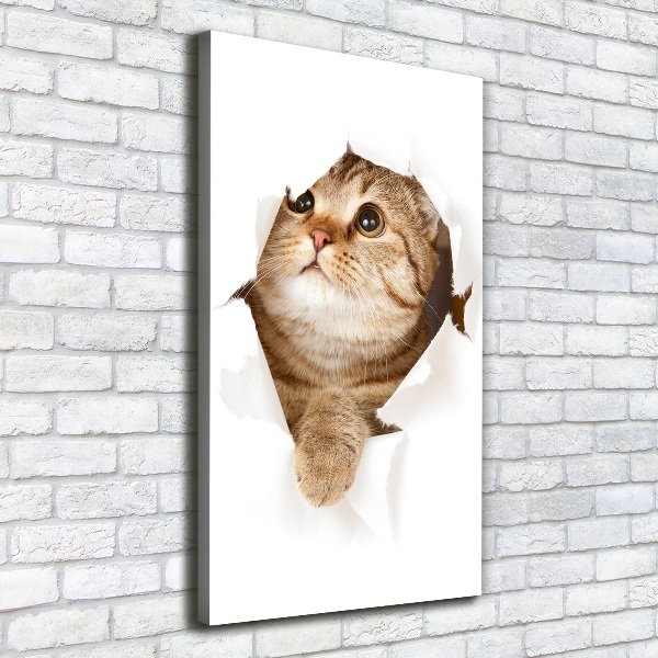 Wandbild vertikales Katze