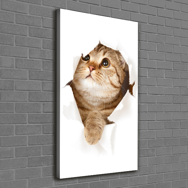 Wandbild vertikales Katze