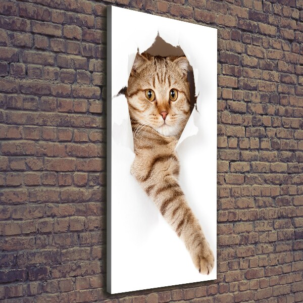 Foto leinwand vertikales Katze