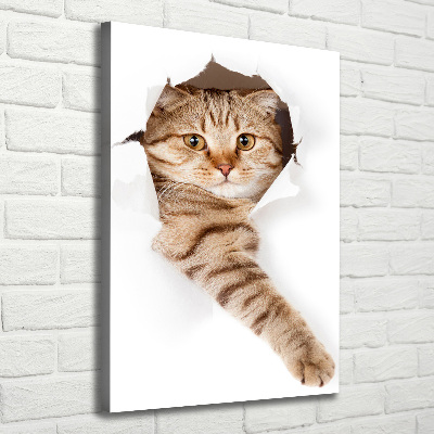 Foto leinwand vertikales Katze