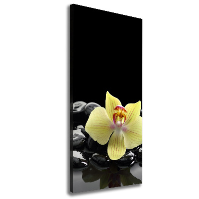 Foto auf leinwand vertikales Orchidee und Steine