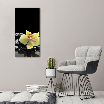 Foto auf leinwand vertikales Orchidee und Steine