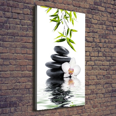 Foto leinwand vertikales Orchidee und Steine