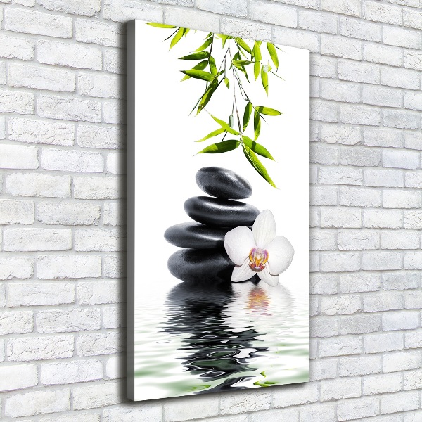 Foto leinwand vertikales Orchidee und Steine