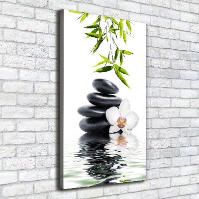 Foto leinwand vertikales Orchidee und Steine