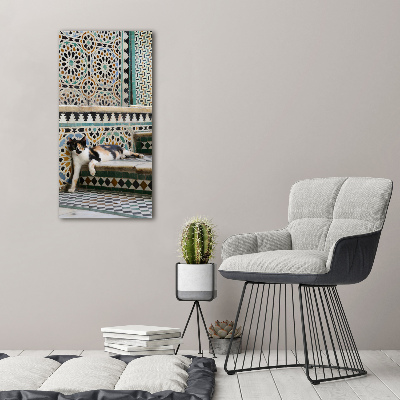 Wandbild vertikales Eine Katze in Marokko