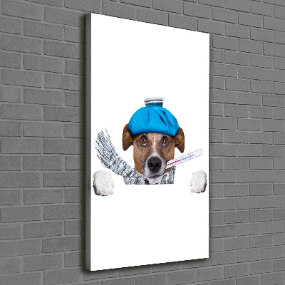 Foto auf leinwand vertikales Kranker Hund