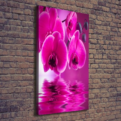 Foto leinwand vertikales Rosa Orchidee