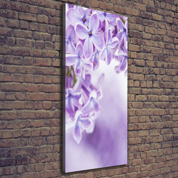 Foto auf leinwand vertikales Fliederblüten