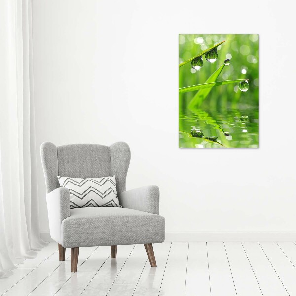 Foto auf leinwand vertikales Grashalme