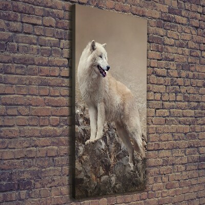 Foto auf leinwand vertikales Wolf auf einem Felsen