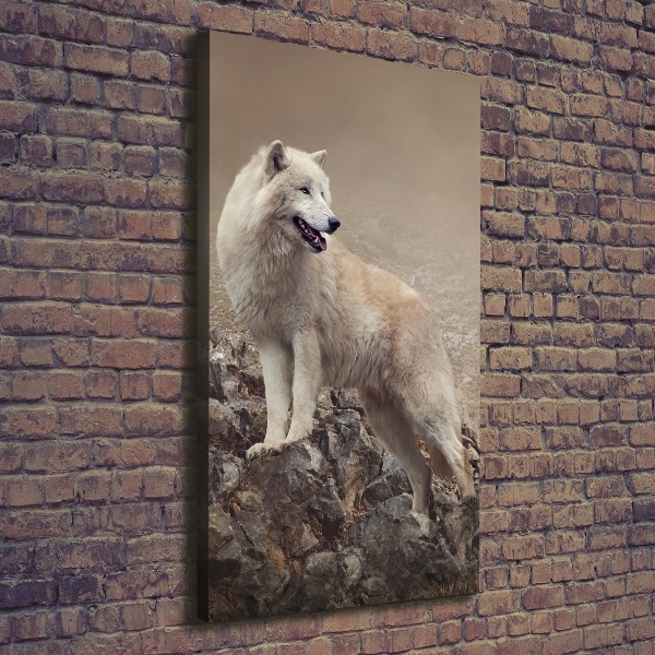 Foto auf leinwand vertikales Wolf auf einem Felsen