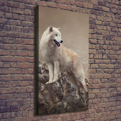 Foto auf leinwand vertikales Wolf auf einem Felsen